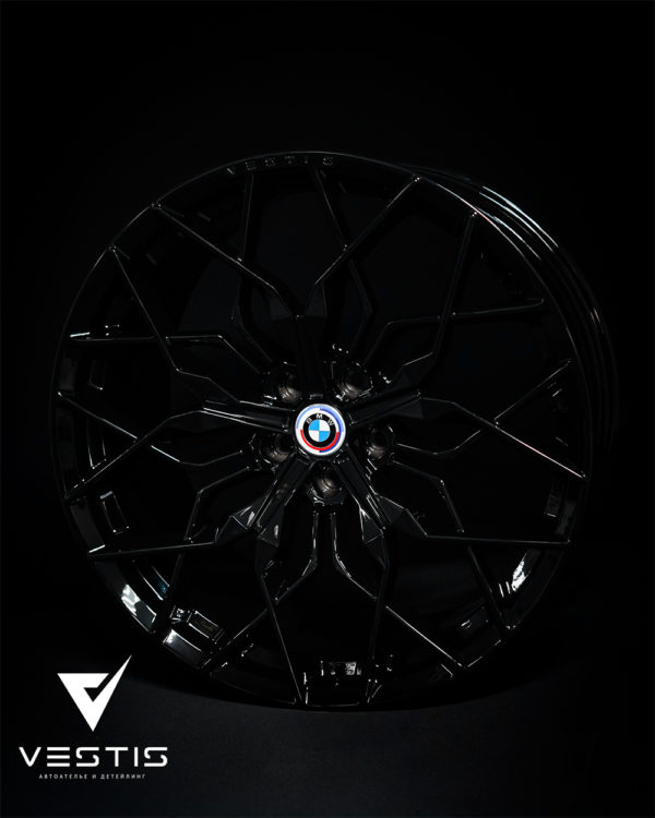 Кованые диски Vestis для BMW X6 G06 - 02